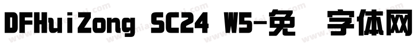 DFHuiZong SC24 W5字体转换